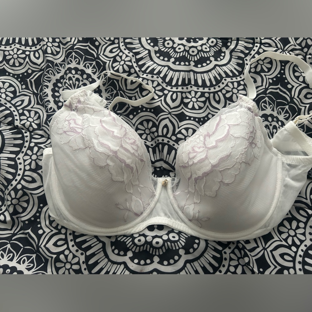 Natori Bra 36DD